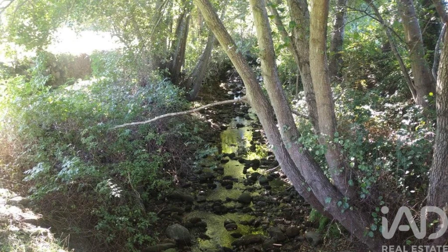 Terreno P/ Prédio para Venda em Vila Cortes da Serra Foto 12
