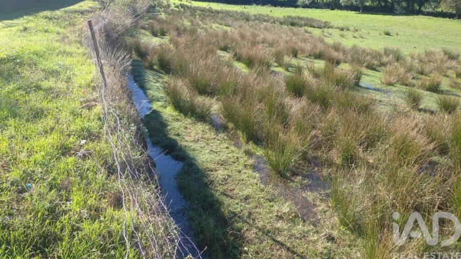 Terreno P/ Prédio para Venda em Vila Cortes da Serra Foto 18