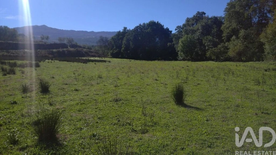 Terreno P/ Prédio para Venda em Vila Cortes da Serra Foto 10