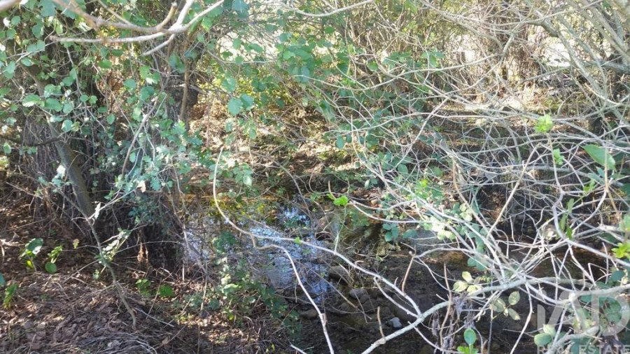 Terreno P/ Prédio para Venda em Vila Cortes da Serra Foto 17