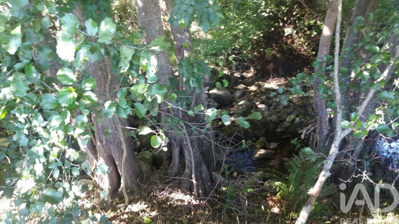 Terreno para Venda em Vila Cortes da Serra Foto 15