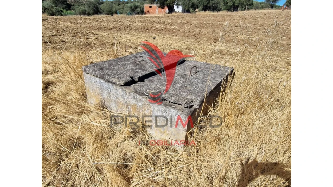 Terreno para Venda em Torrão Foto 6