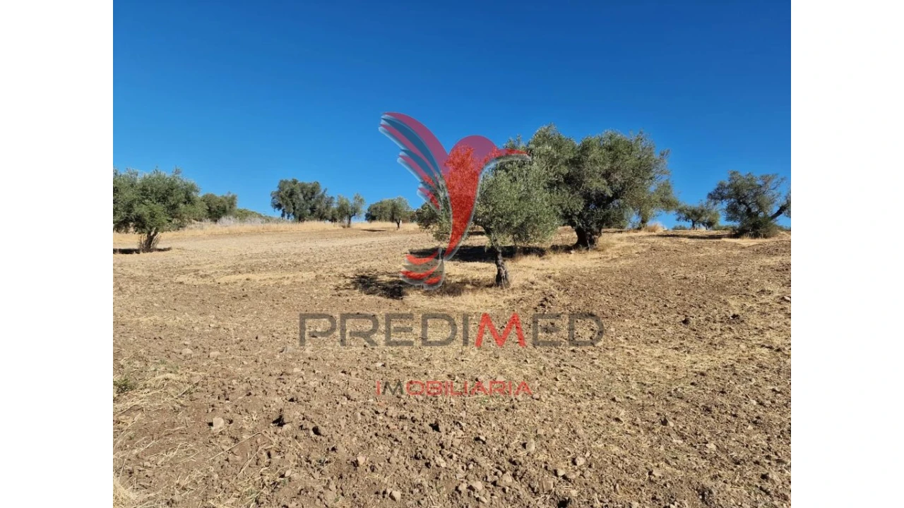 Terreno para Venda em Torrão Foto 20