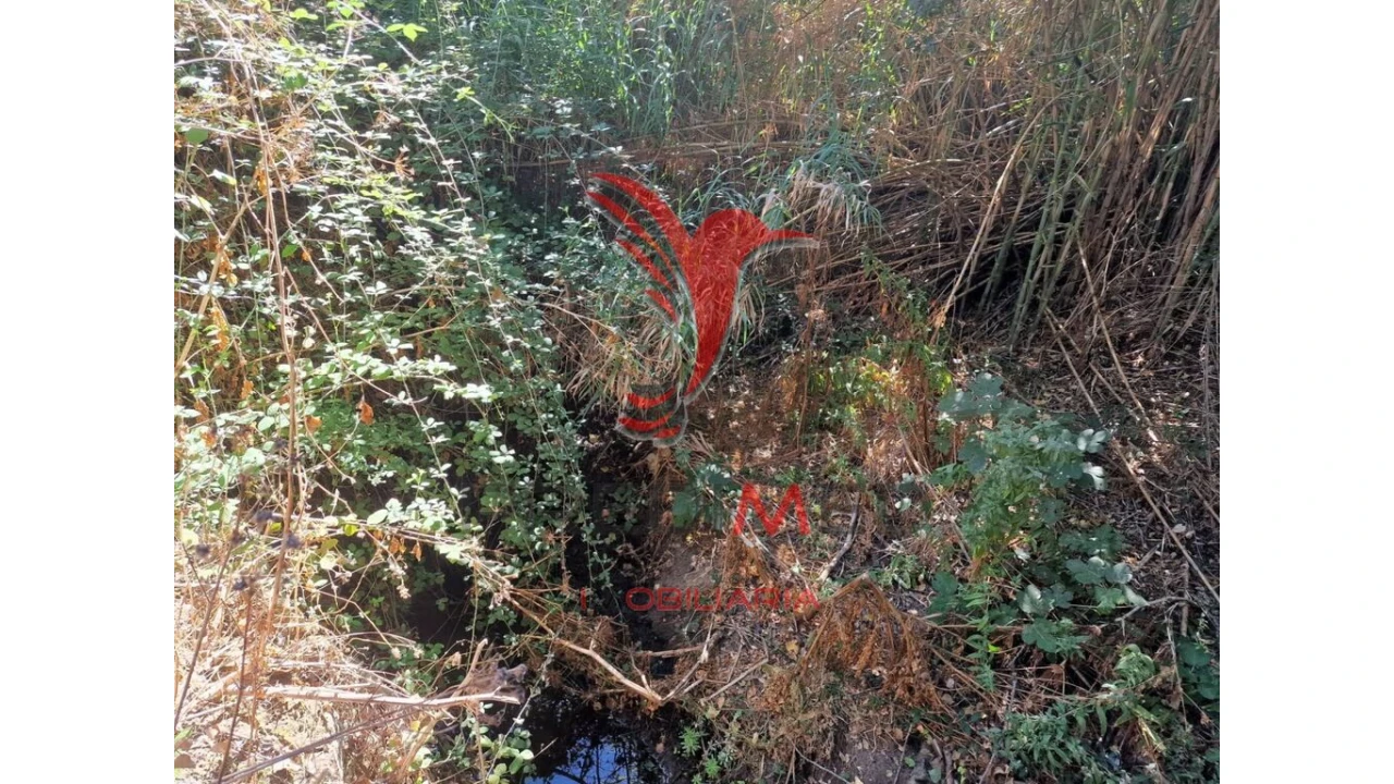 Terreno para Venda em Torrão Foto 10