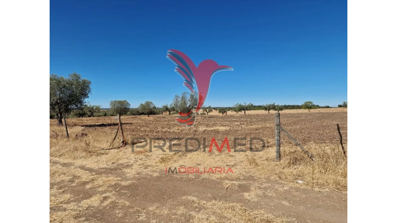 Terreno para Venda em Torrão Foto 13