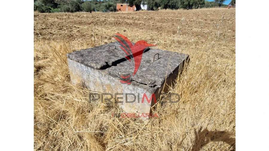 Terreno para Venda em Torrão Foto 6