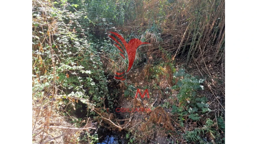 Terreno para Venda em Torrão Foto 10