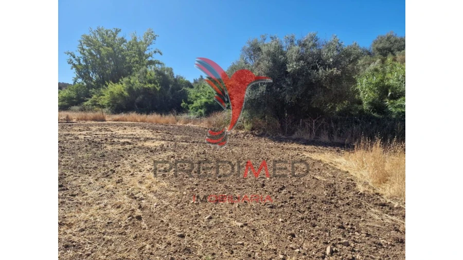 Terreno para Venda em Torrão Foto 12