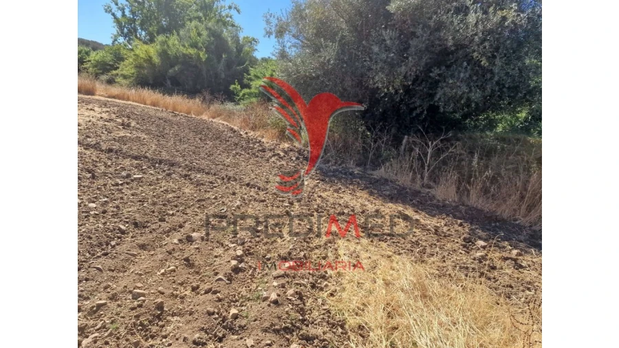 Terreno para Venda em Torrão Foto 17