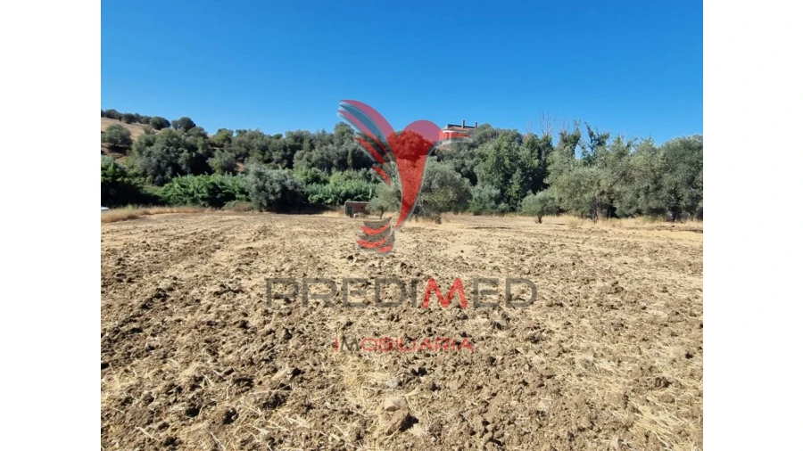 Terreno para Venda em Torrão Foto 11