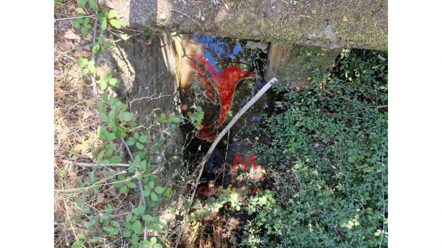 Terreno para Venda em Torrão Foto 9