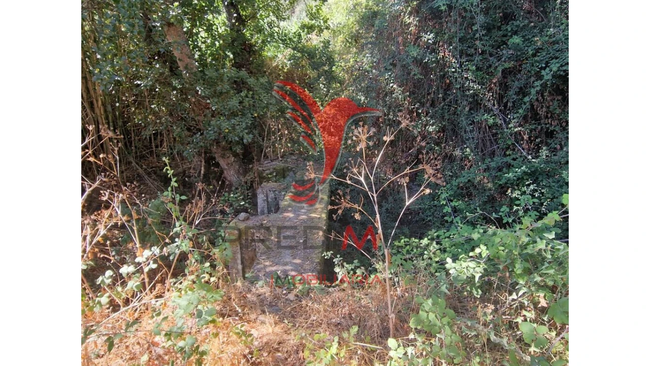 Terreno para Venda em Torrão Foto 7