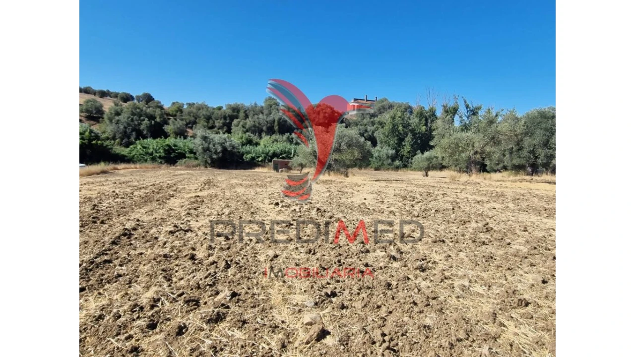 Terreno para Venda em Torrão Foto 11
