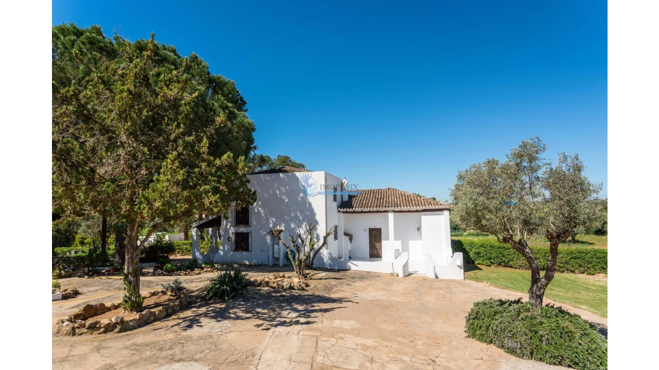 Quinta T11 para Venda em Guia Foto 6