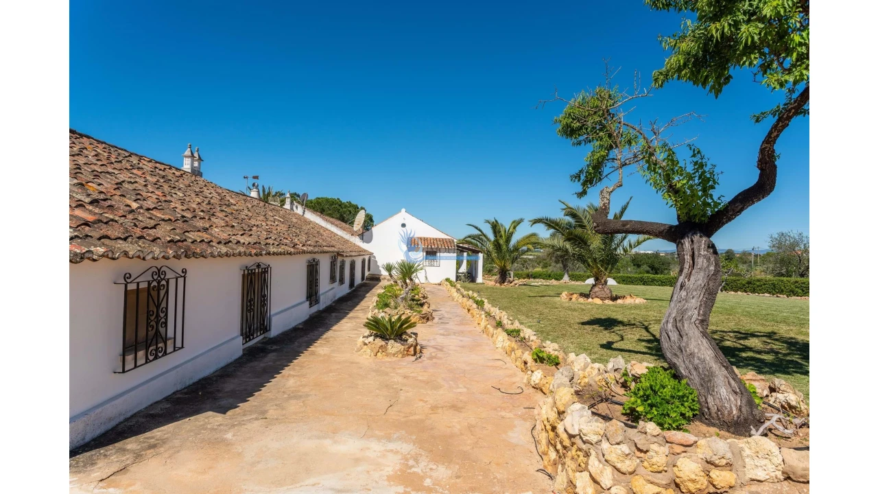 Quinta T11 para Venda em Guia Foto 18