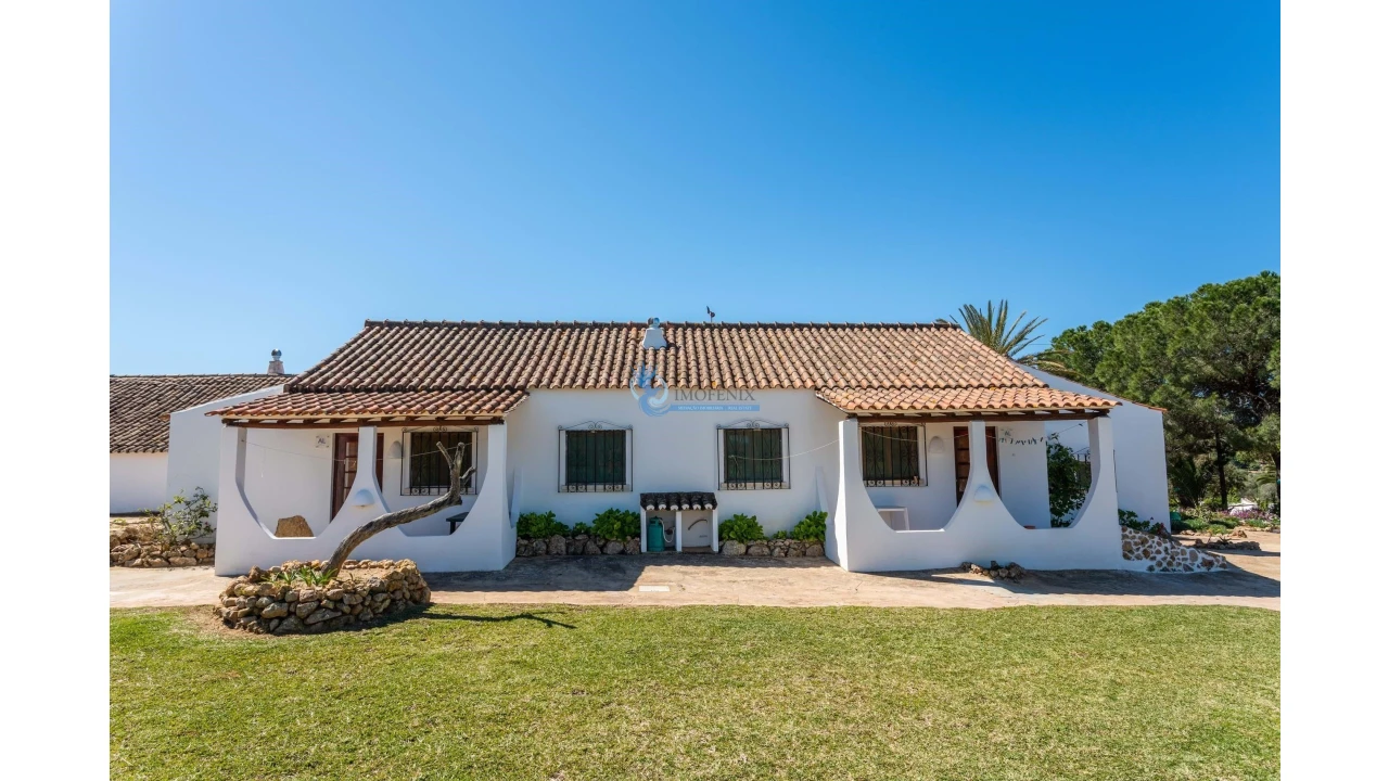 Quinta T11 para Venda em Guia Foto 12