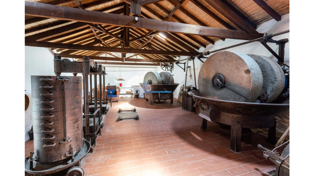 Quinta T11 para Venda em Guia Foto 23