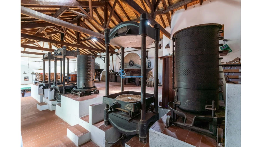 Quinta T11 para Venda em Guia Foto 17