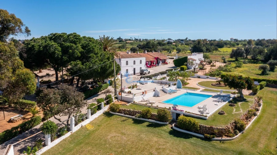 Quinta T11 para Venda em Guia Foto 10