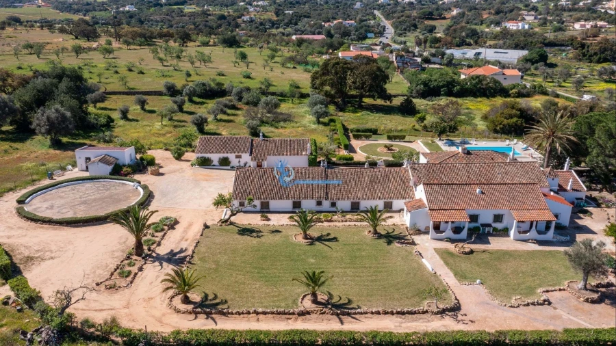 Quinta T11 para Venda em Guia Foto 15