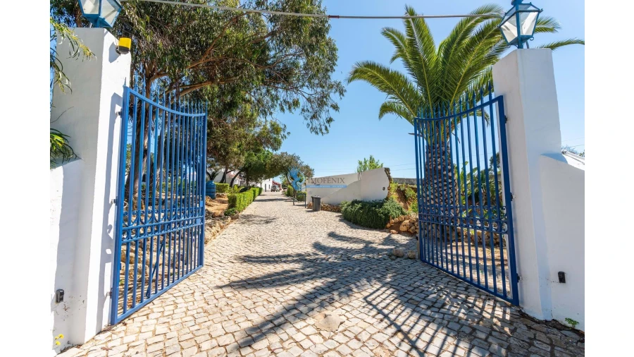 Quinta T11 para Venda em Guia Foto 24