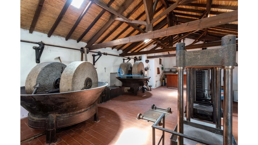 Quinta T11 para Venda em Guia Foto 19