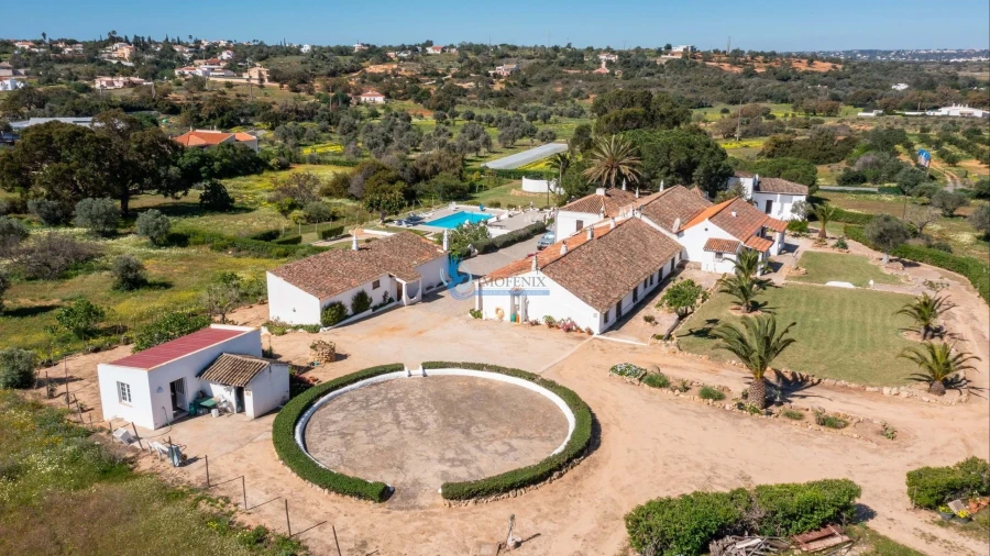 Quinta T11 para Venda em Guia Foto 5