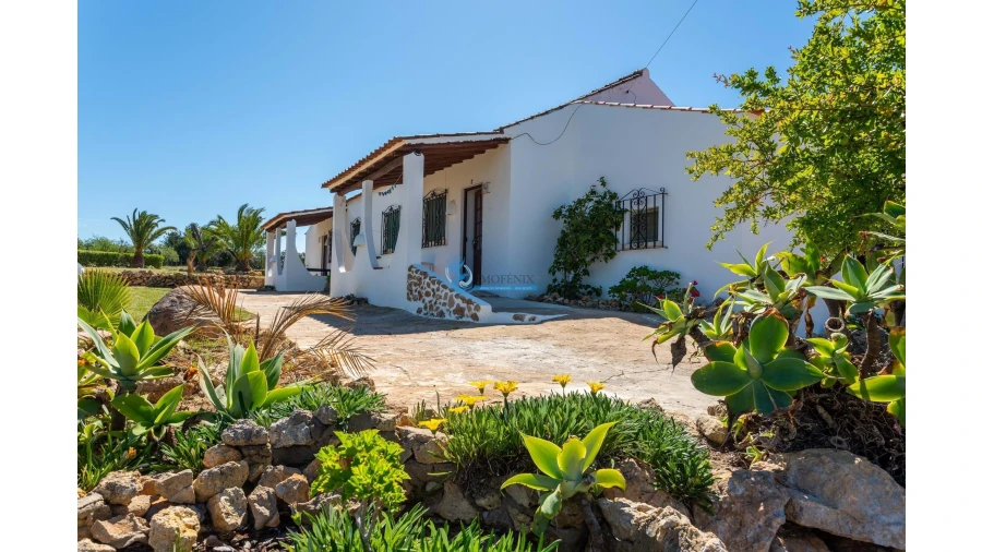 Quinta T11 para Venda em Guia Foto 14