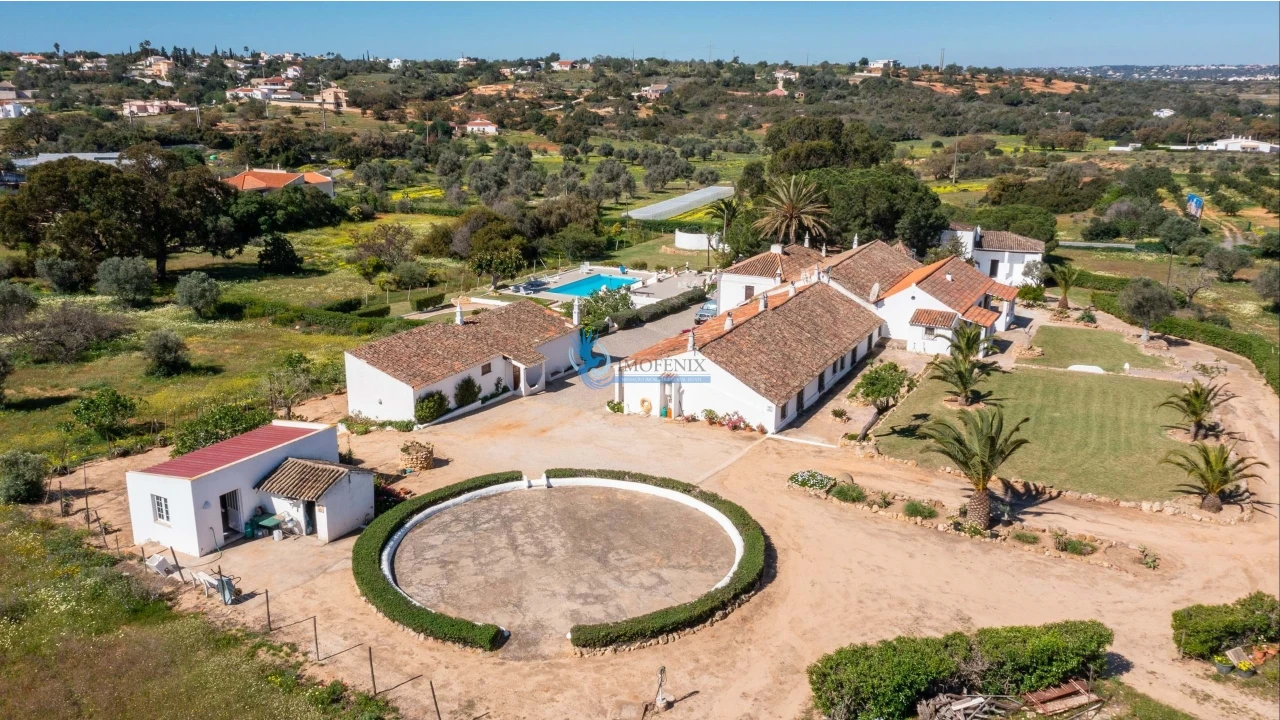 Quinta T11 para Venda em Guia Foto 5