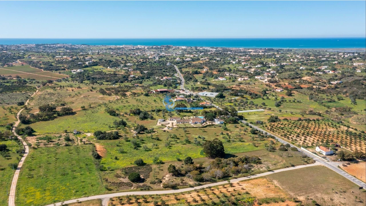 Quinta T11 para Venda em Guia Foto 7