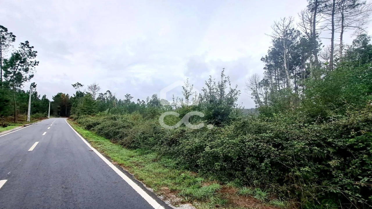 Terreno para Venda em Calde Foto 3