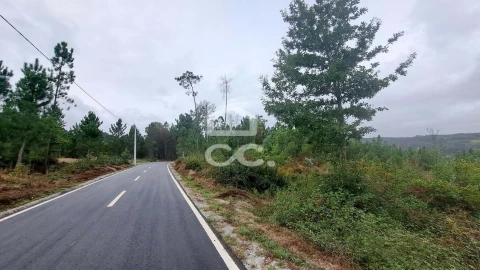 Terreno para Venda em Calde