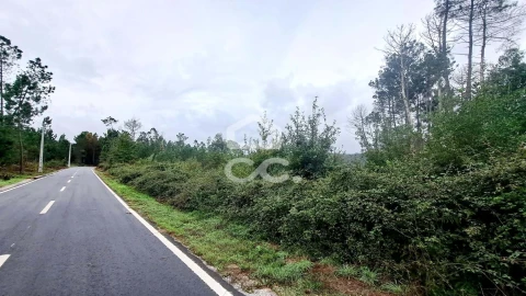 Terreno para Venda em Calde