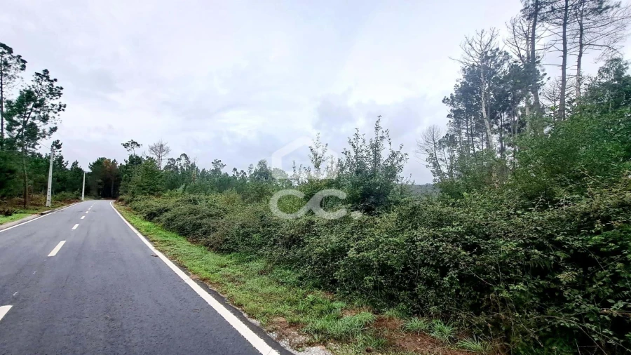 Terreno para Venda em Calde Foto 3