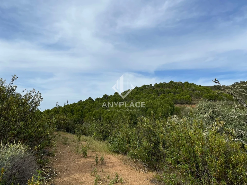 Terreno Agricola ou Rústico para Venda em Ameixial Foto 21