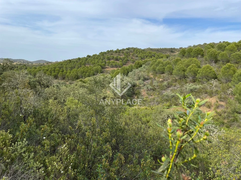 Terreno Agricola ou Rústico para Venda em Ameixial Foto 15