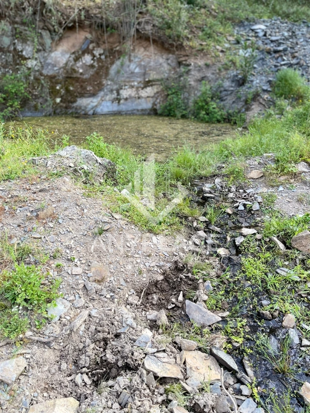 Terreno Agricola ou Rústico para Venda em Ameixial Foto 8
