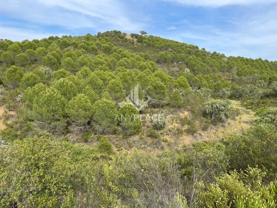 Terreno Agricola ou Rústico para Venda em Ameixial Foto 11