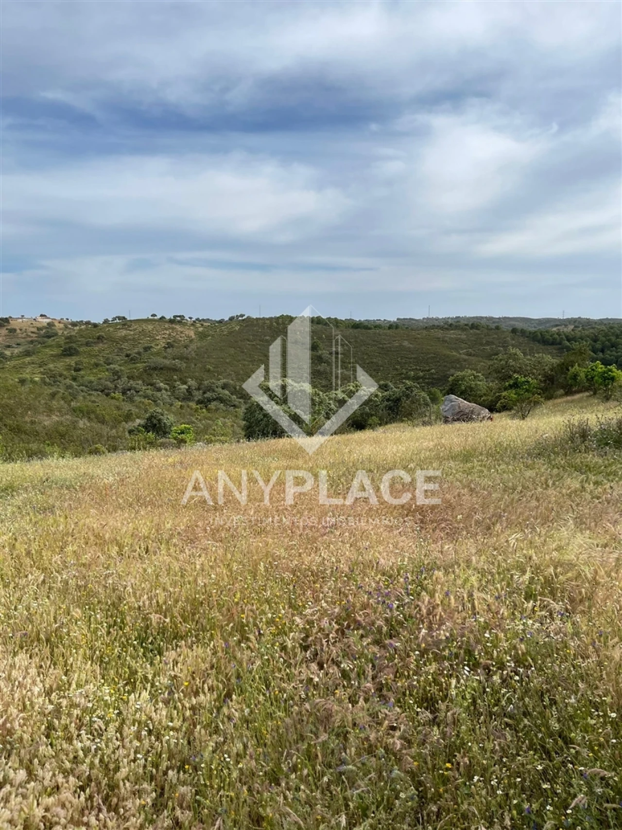 Terreno Agricola ou Rústico para Venda em Ameixial Foto 23