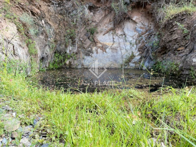 Terreno Agricola ou Rústico para Venda em Ameixial Foto 3