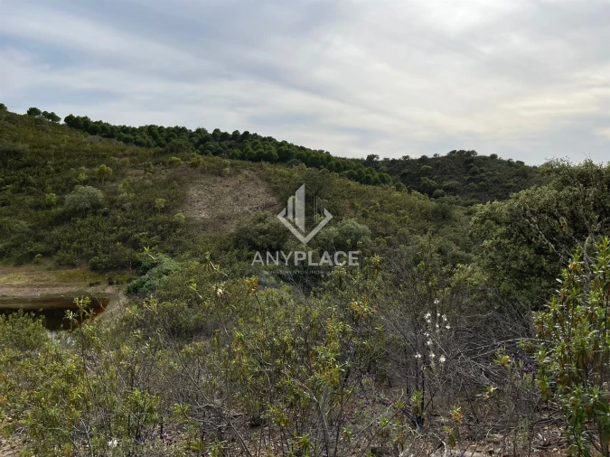 Terreno Agricola ou Rústico para Venda em Ameixial Foto 6