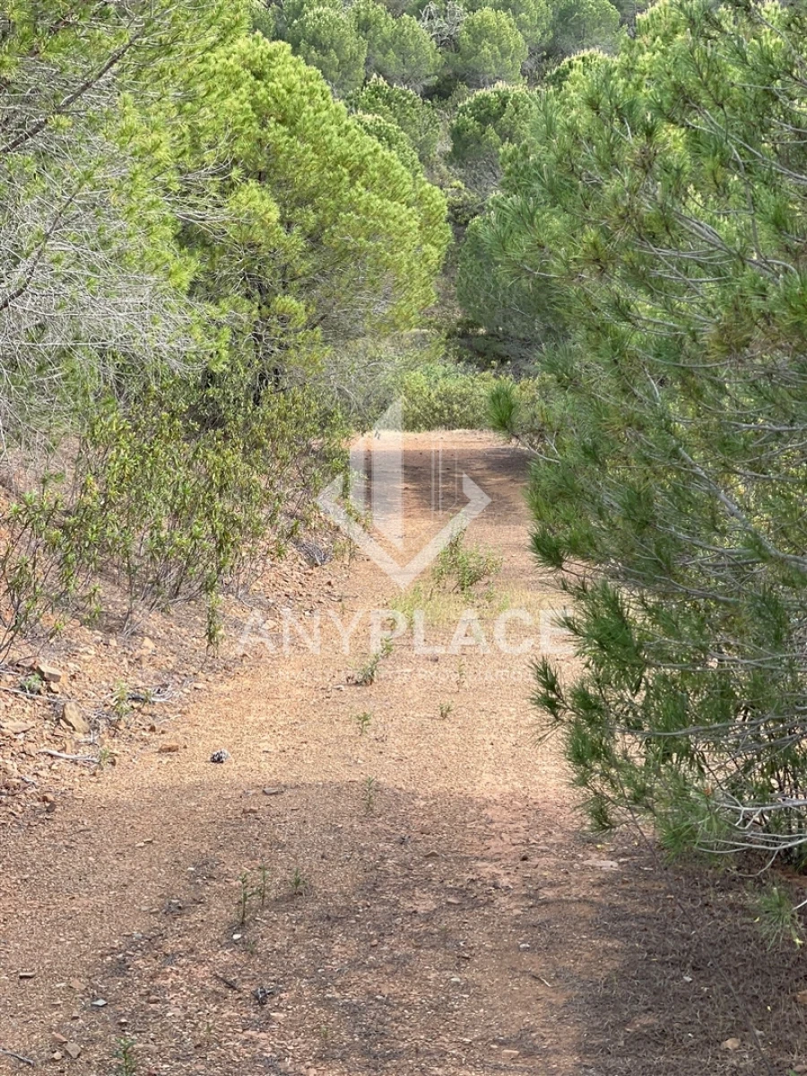 Terreno Agricola ou Rústico para Venda em Ameixial Foto 20