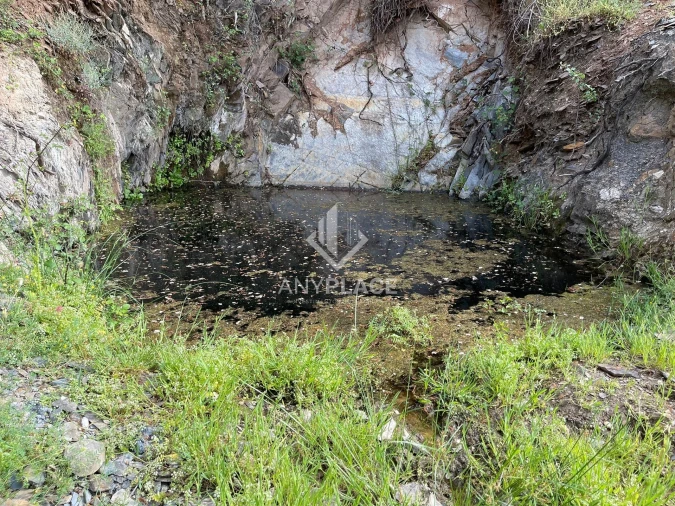 Terreno Agricola ou Rústico para Venda em Ameixial Foto 13