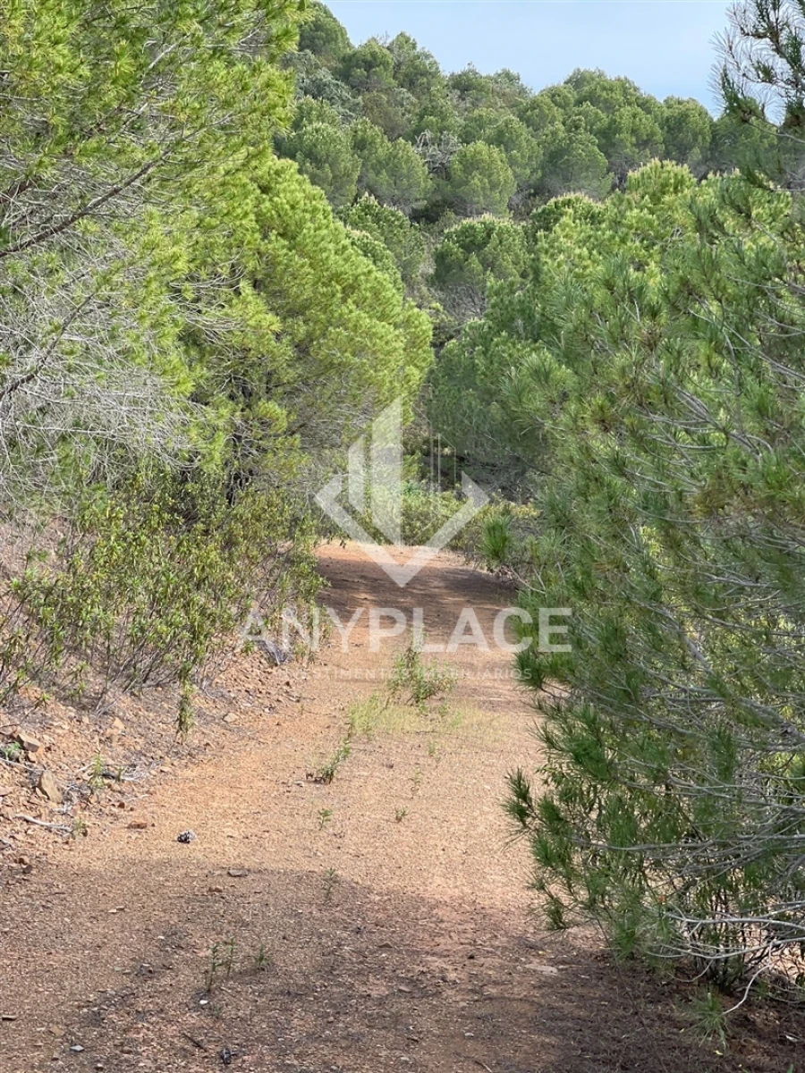 Terreno Agricola ou Rústico para Venda em Ameixial Foto 18