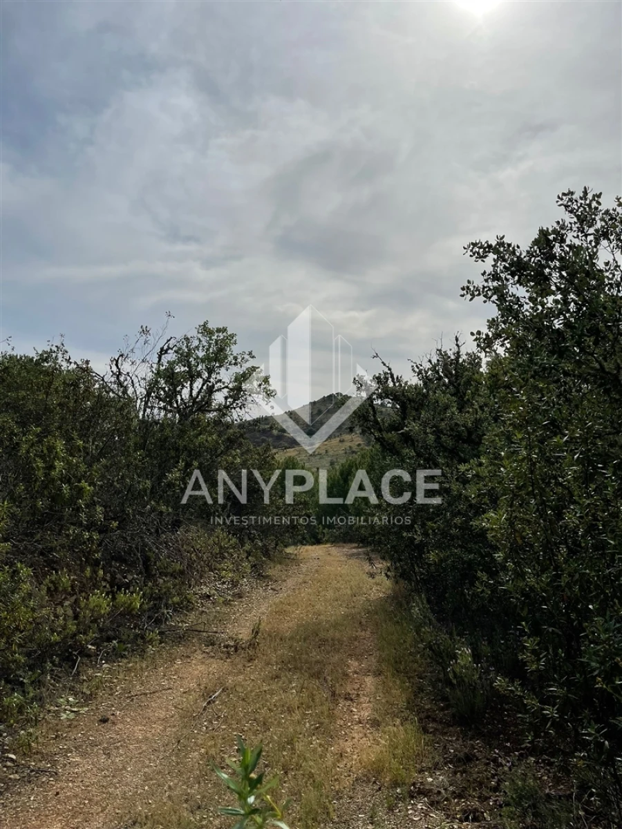 Terreno Agricola ou Rústico para Venda em Ameixial Foto 25