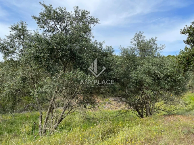 Terreno Agricola ou Rústico para Venda em Ameixial Foto 16
