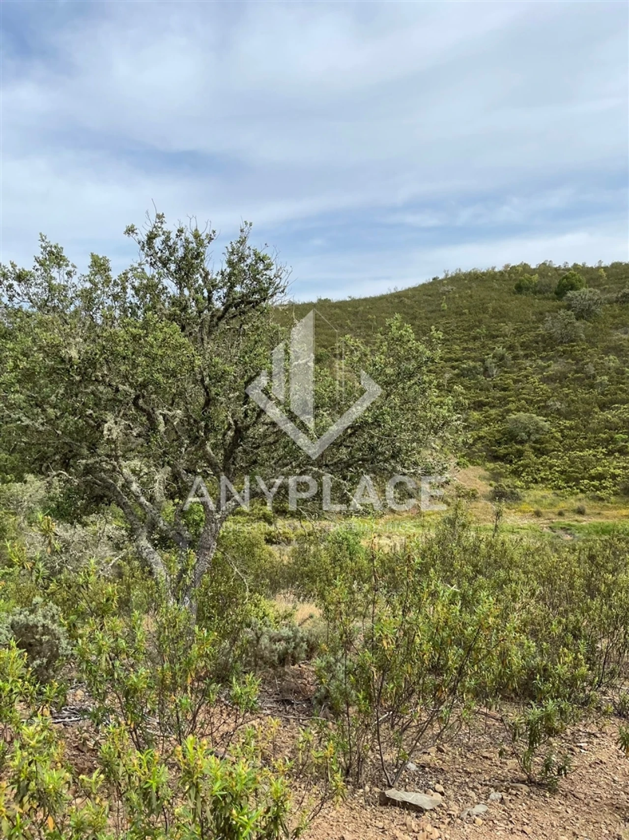 Terreno Agricola ou Rústico para Venda em Ameixial Foto 7
