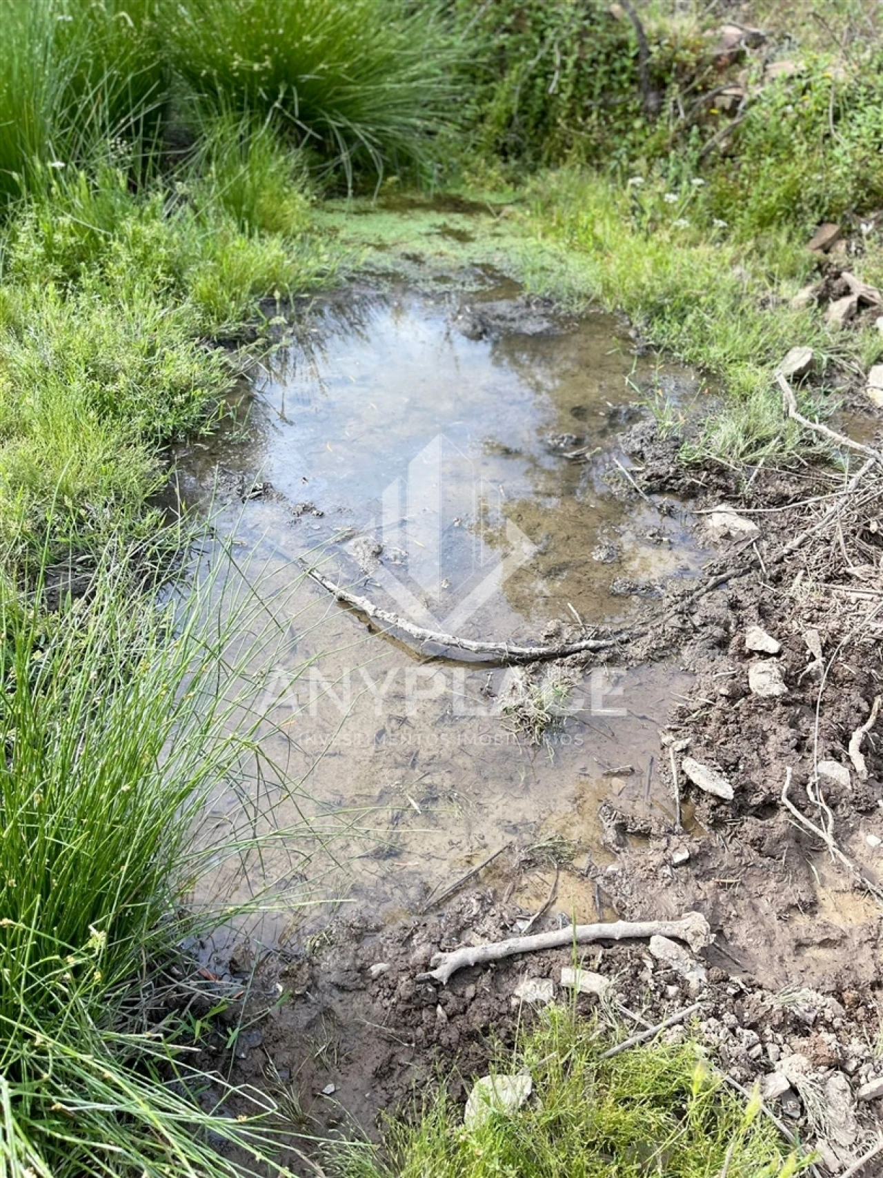 Terreno Agricola ou Rústico para Venda em Ameixial Foto 10