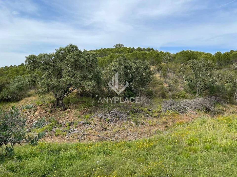 Terreno Agricola ou Rústico para Venda em Ameixial Foto 12