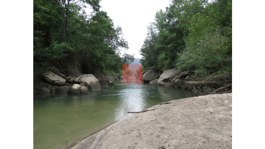 Quinta para Venda em Amarante (São Gonçalo), Madalena, Cepelos e Gatão Foto 3